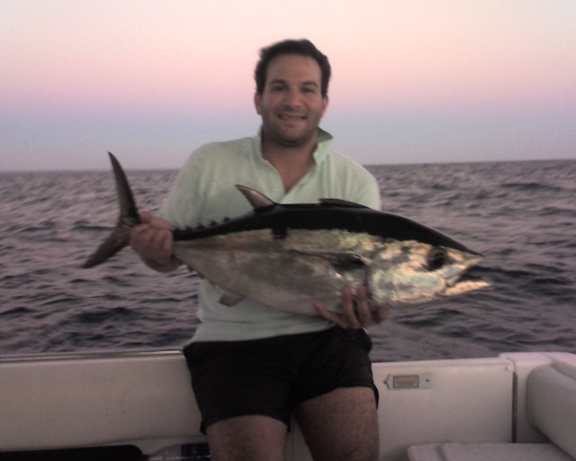 29 Pound Albacore Tuna 29 Pound Albacore Tuna